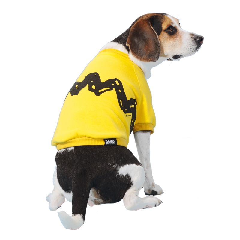 Peanuts Sweatshirt|S|M|L