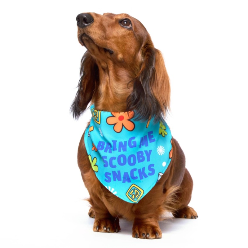 Scooby Snacks Bandana|S/M|M/L