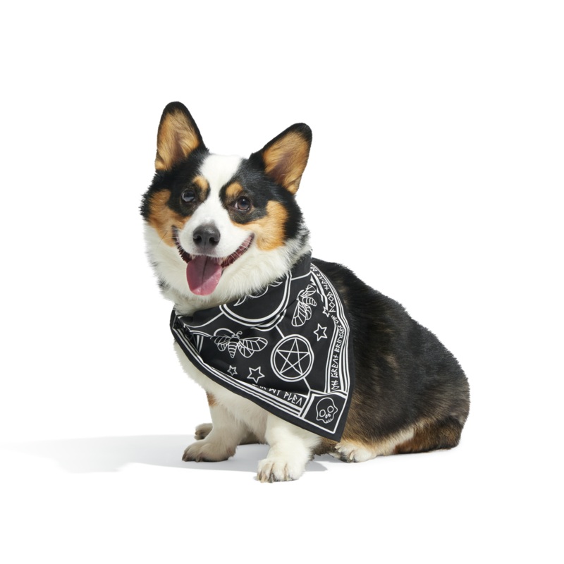 Witch Bandana|S/M|M/L