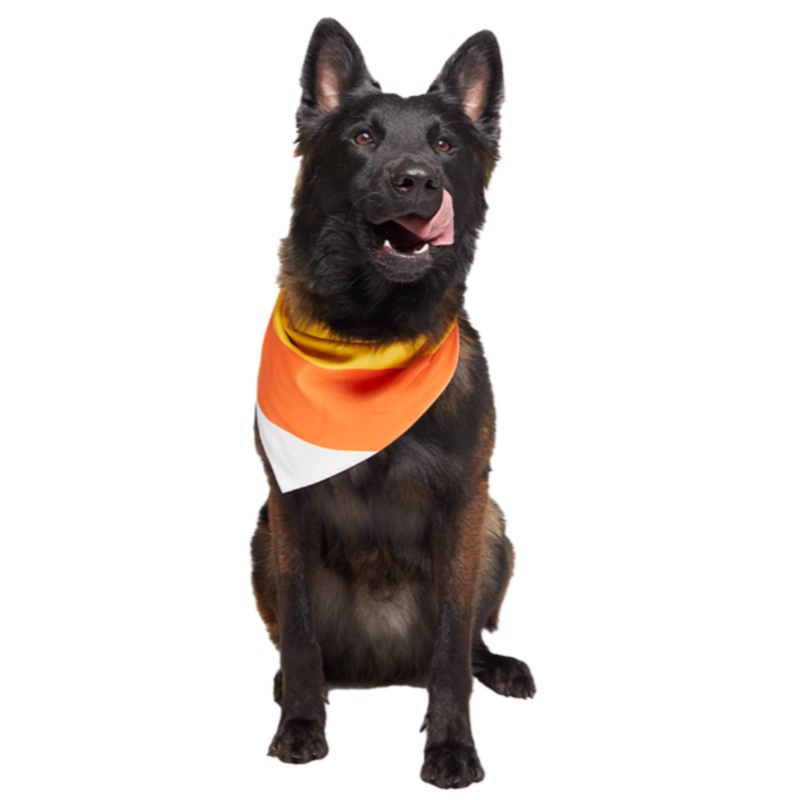Candy Corn Reversible Bandana|S|M|L