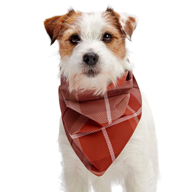 Fall Reversible Bandana Warm|S|M/L