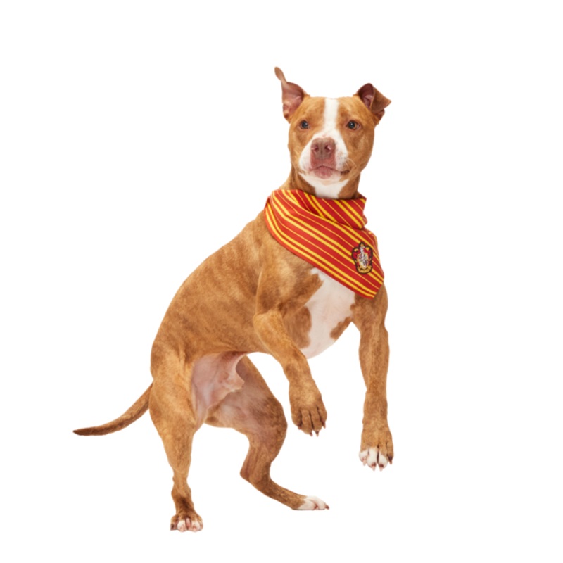 HARRY POTTER House Bandana|Slytherin Bandana|Ravenclaw Bandana|Hufflepuff Bandana|Gryffindor Bandana|S/M|M/L
