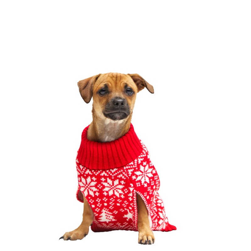 The Holiday Sweater|S|M|L