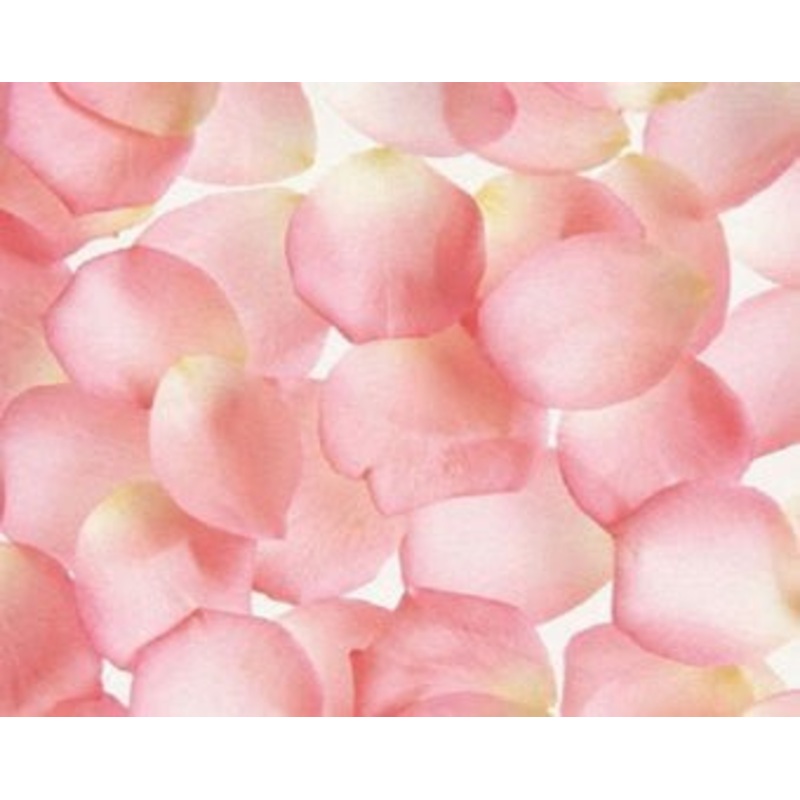 Pink Fabric Rose Petals | 400 ct