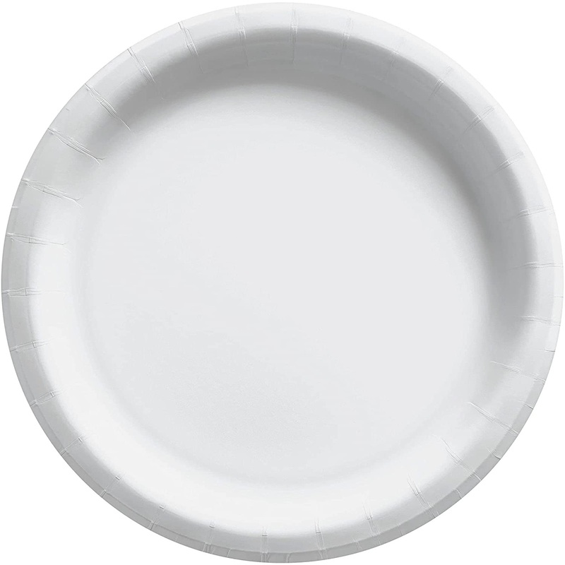 White Dinner Paper Plates 10 | 20ct