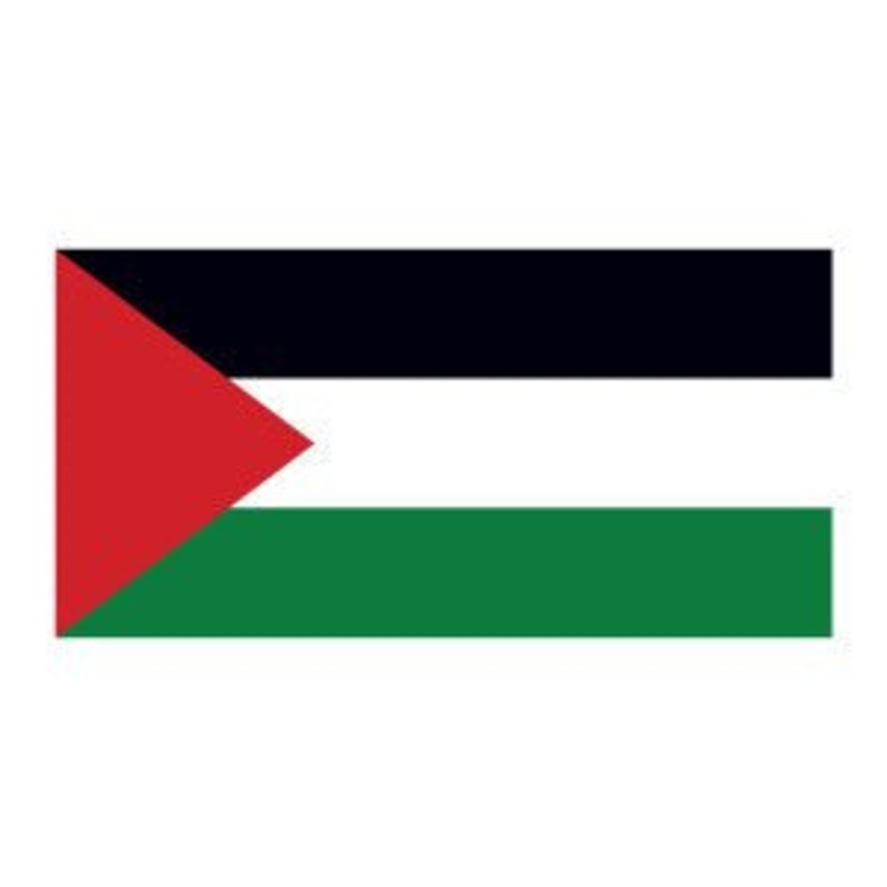 Palestine Flag | 3′ x 5′