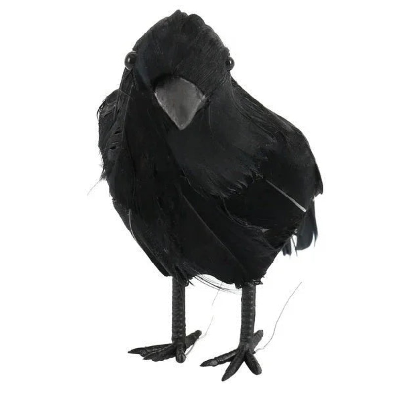 5in Crow | 1 ct