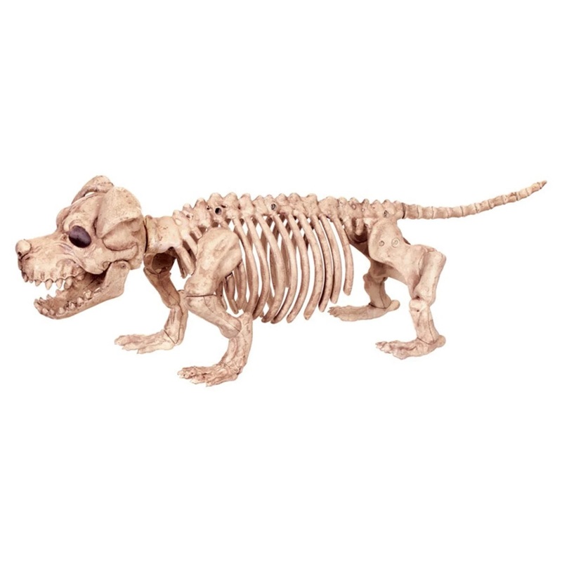 6.75in Puppy Bonez | 1ct