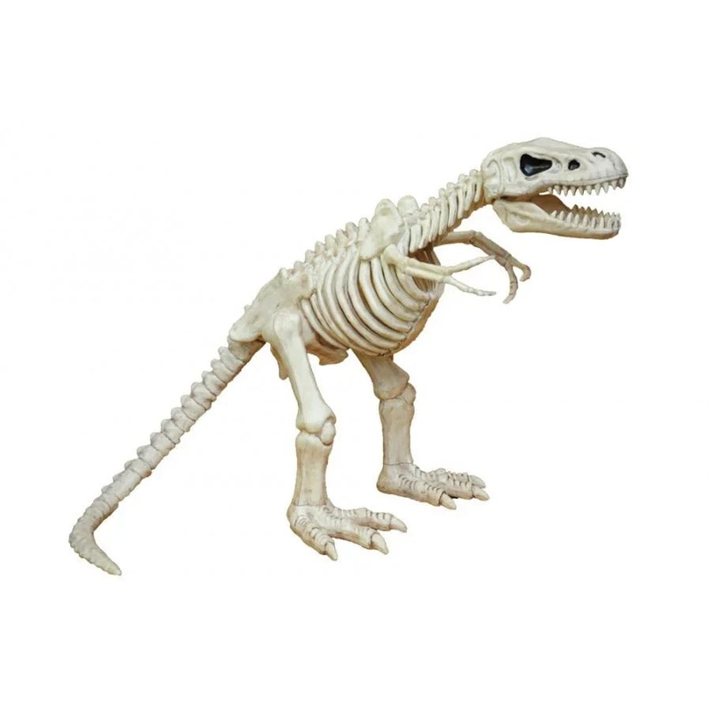 T-Rex Skeleton  | 1ct